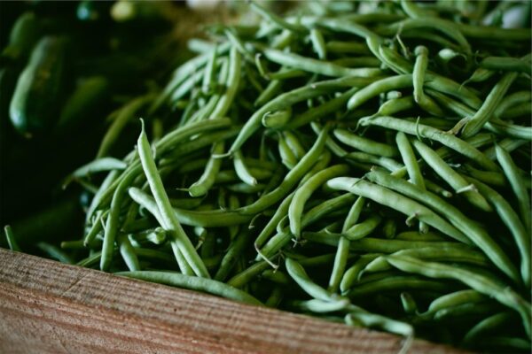 Green-Beans-Picture-one