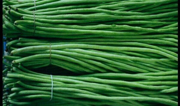 Green-long-beans-2