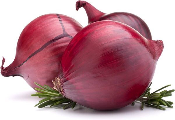 onion1