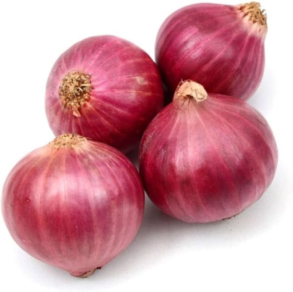 onion4