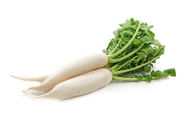 radish2